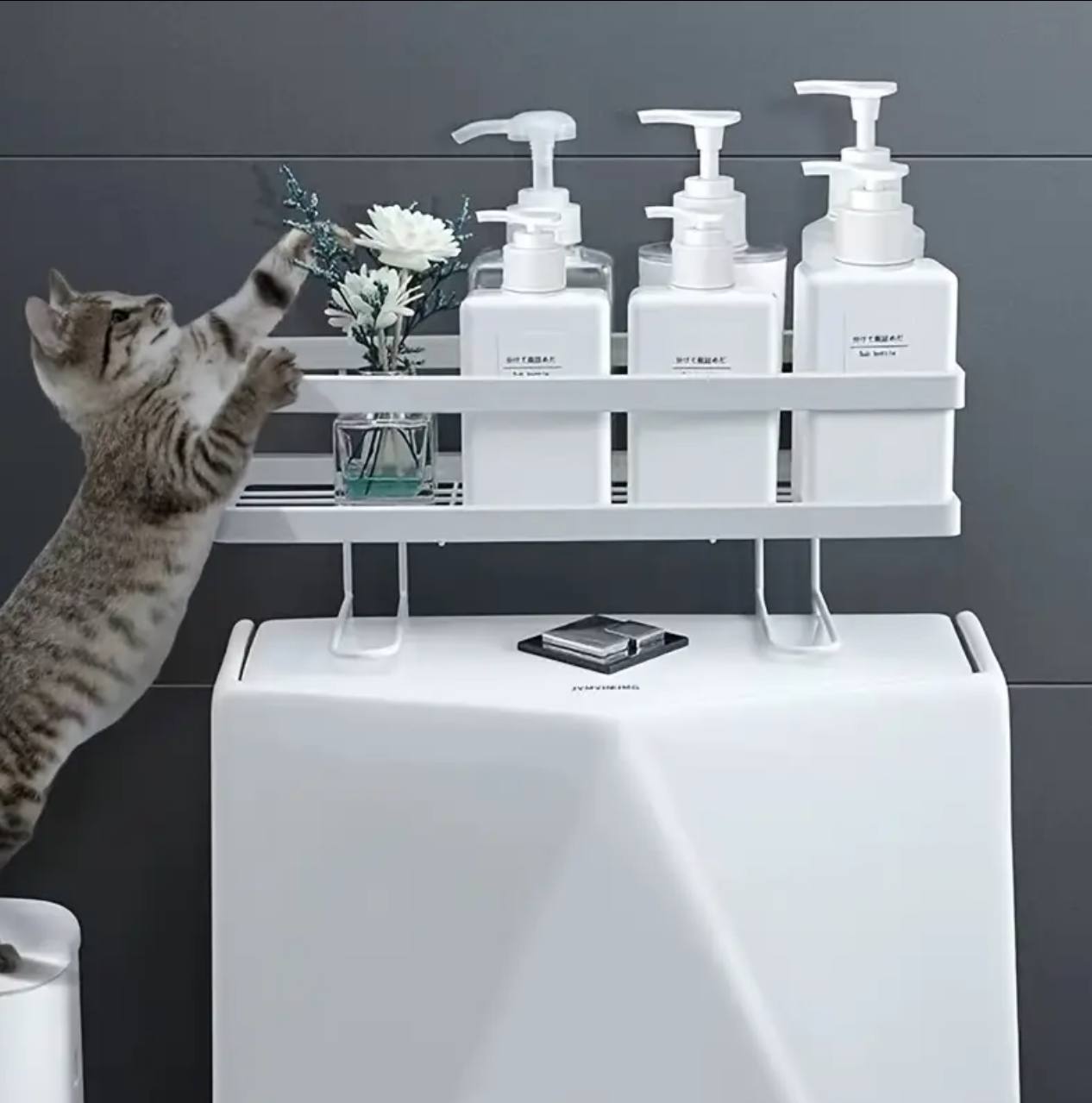 Single Layer Bathroom/ Toilet Racks With Tissue Holder