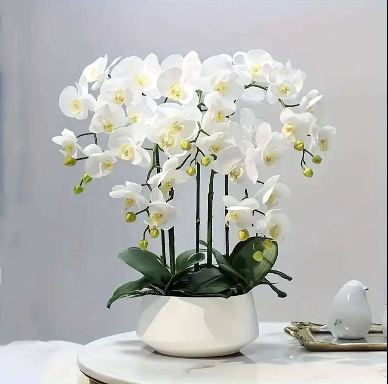 Real touch orchid plant