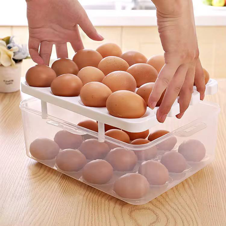 Egg Tray