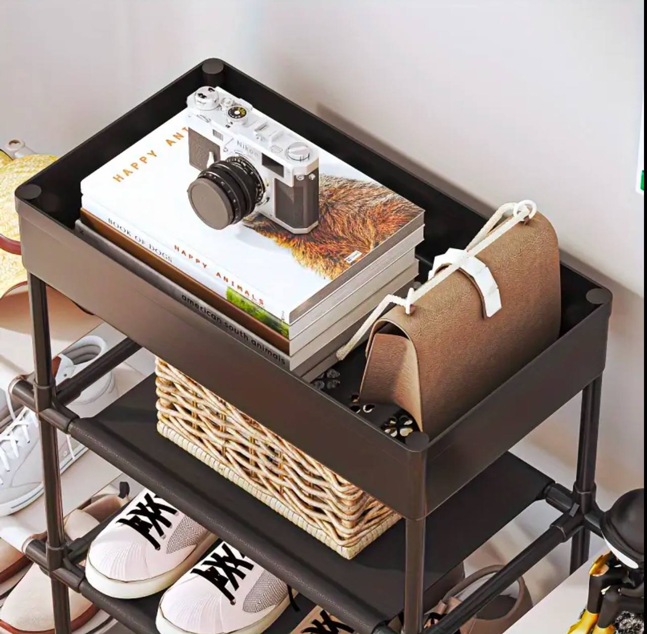 5th floor shoe Rack
