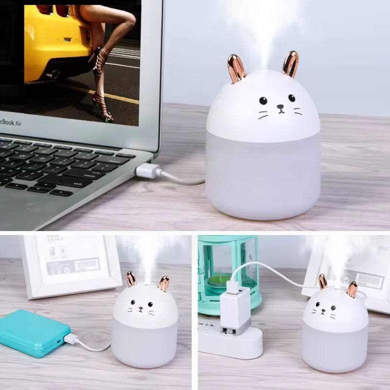 Rabbit humidifier