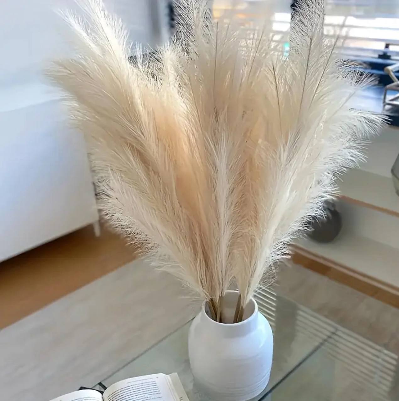 15pcs Dried pampas grass