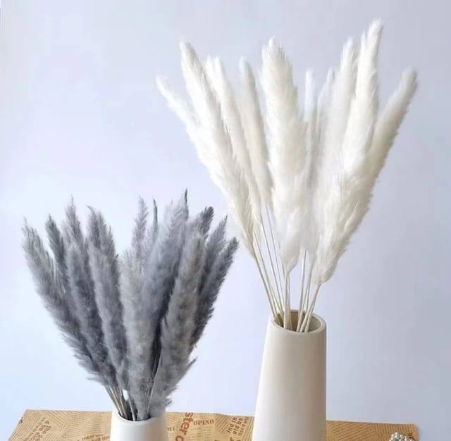 10pc Natural Dried Flowers Pampas Phragmites Rabbit Tail Grass