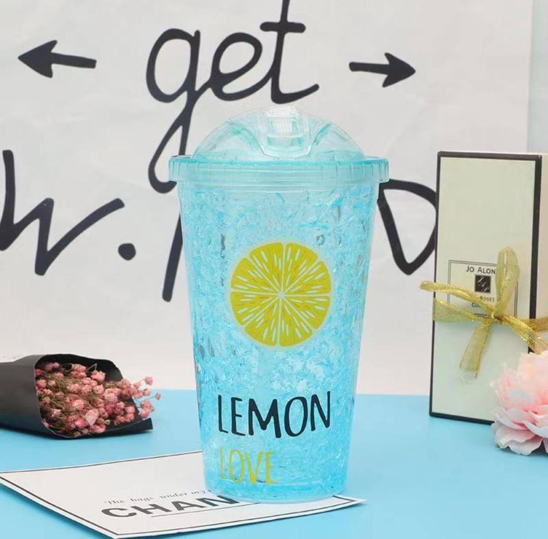 Stylish double wall frost ice smoothie cup