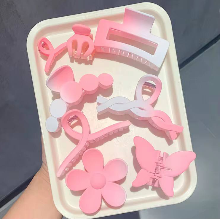 Ladies Hair clips/Accessories.