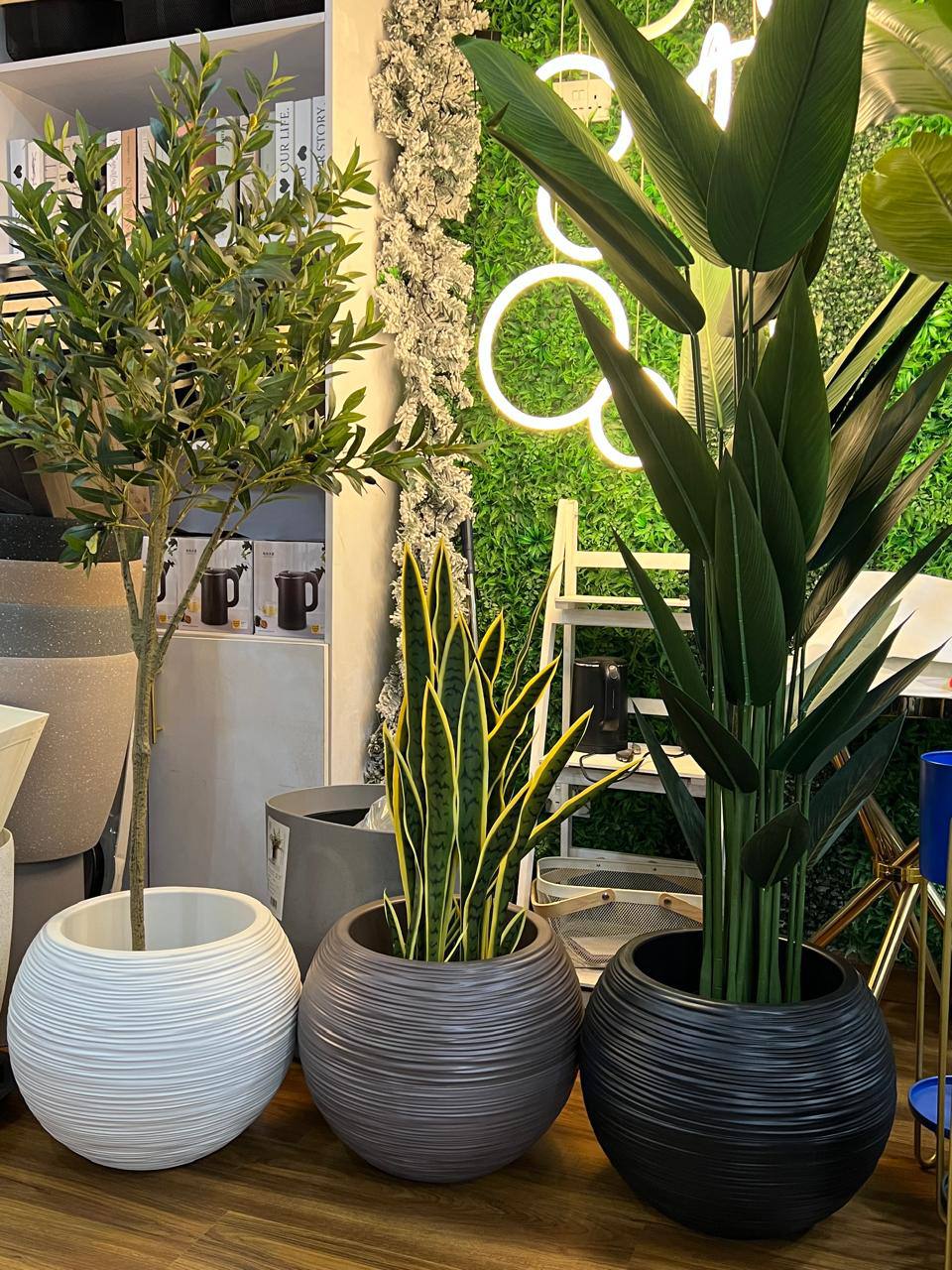 Premium minimalist design flower planters