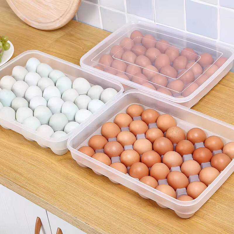 34pc egg tray with lid