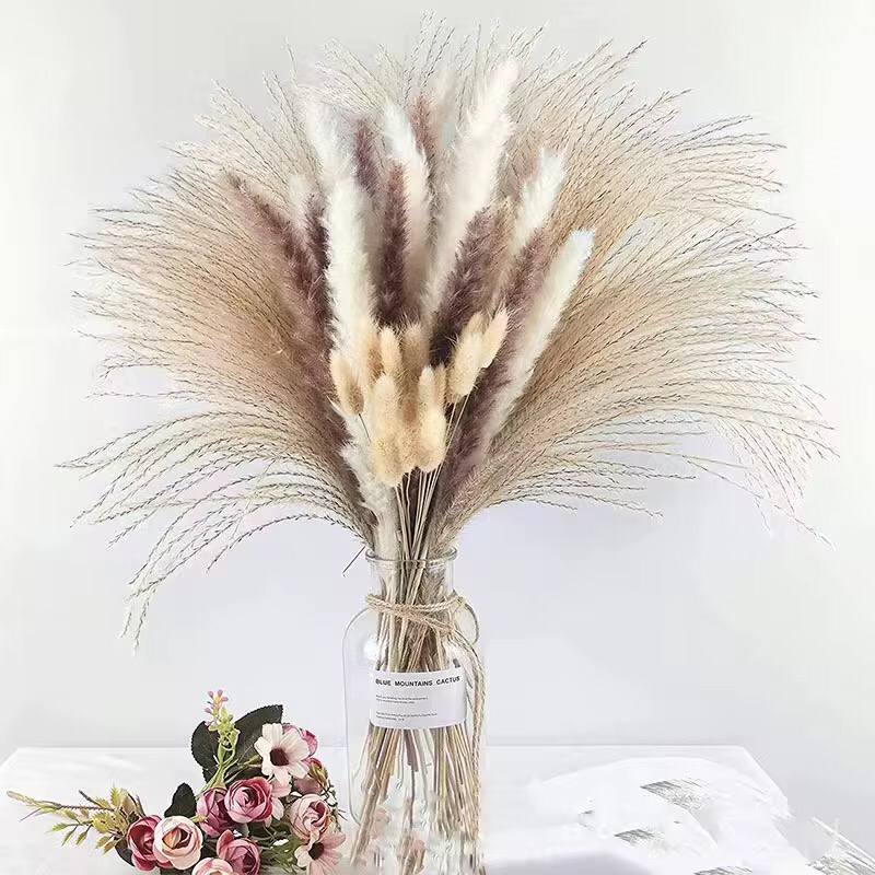 Natural Dried Reed Decorative Mini Pampas Grass