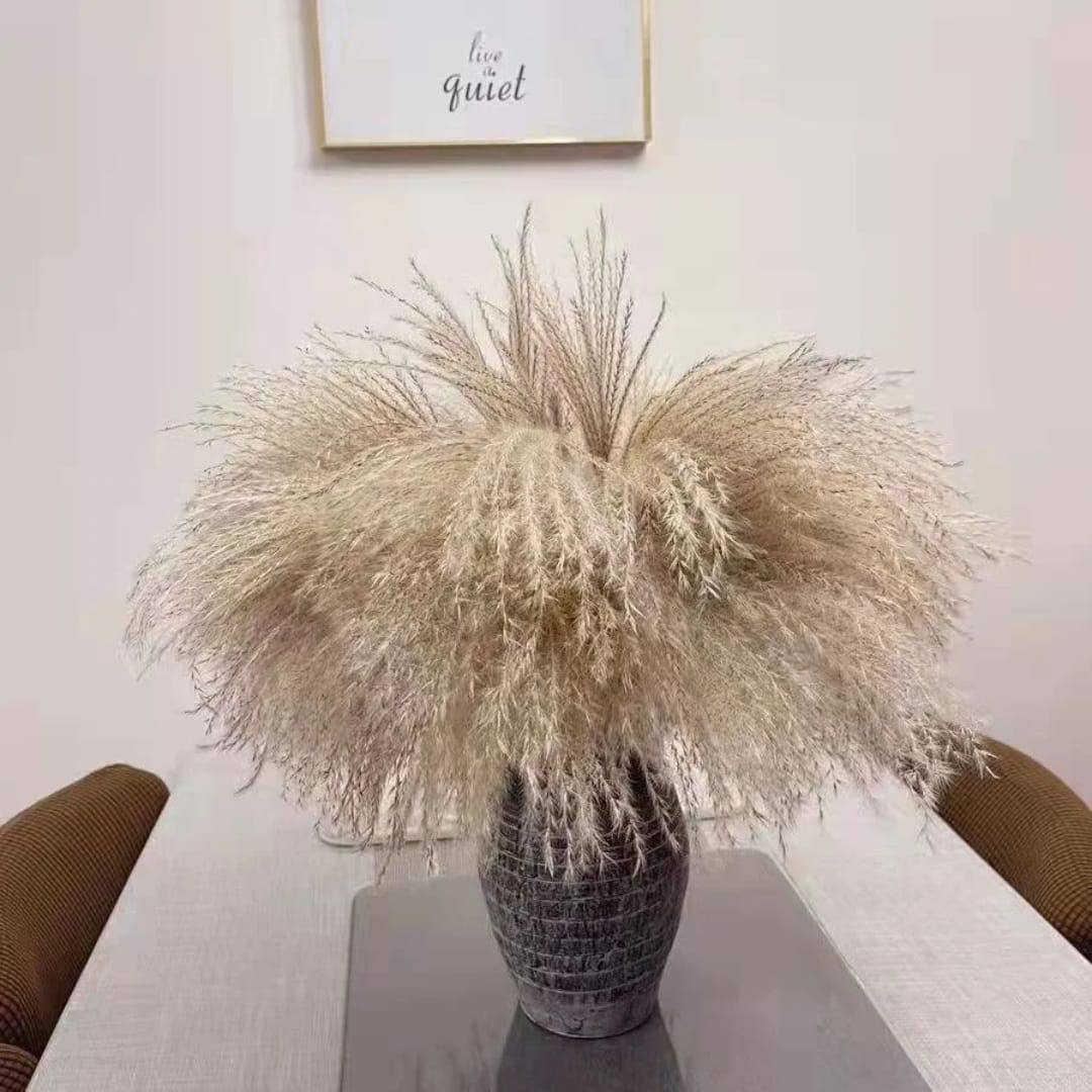 Natural Dried Reed Decorative Mini Pampas Grass