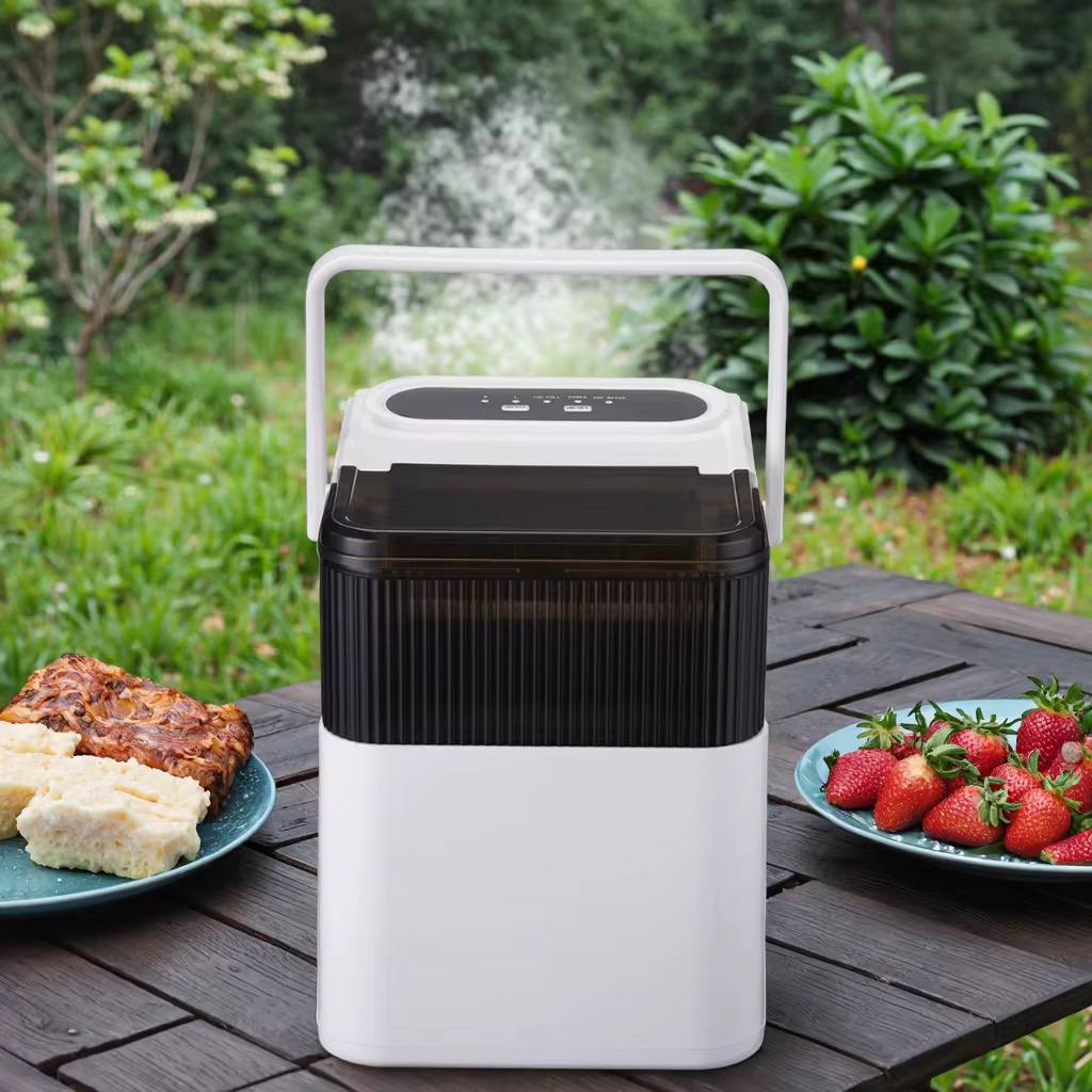 Ice maker