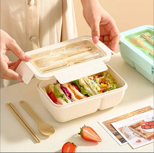 BENTO LUNCH BOX WITH 2 COMPARTMENT AND SPOONS