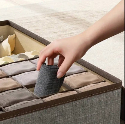 Garment organizer with cover