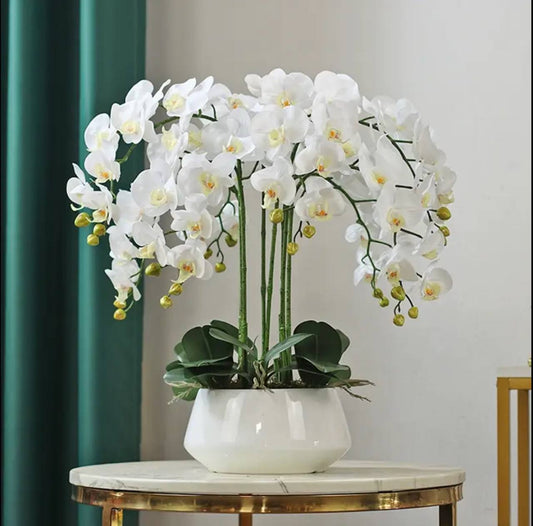 Real touch orchid plant