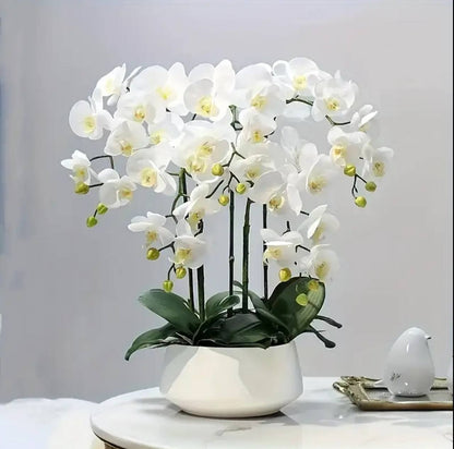 Real touch orchid plant