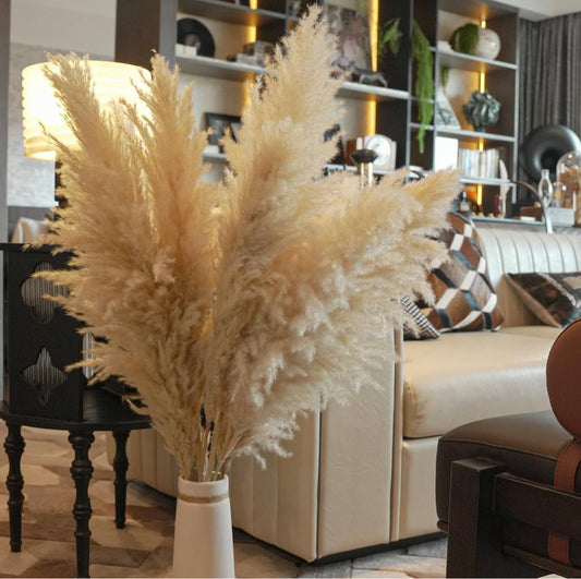 Fluffy Large Pampas Grass Decor