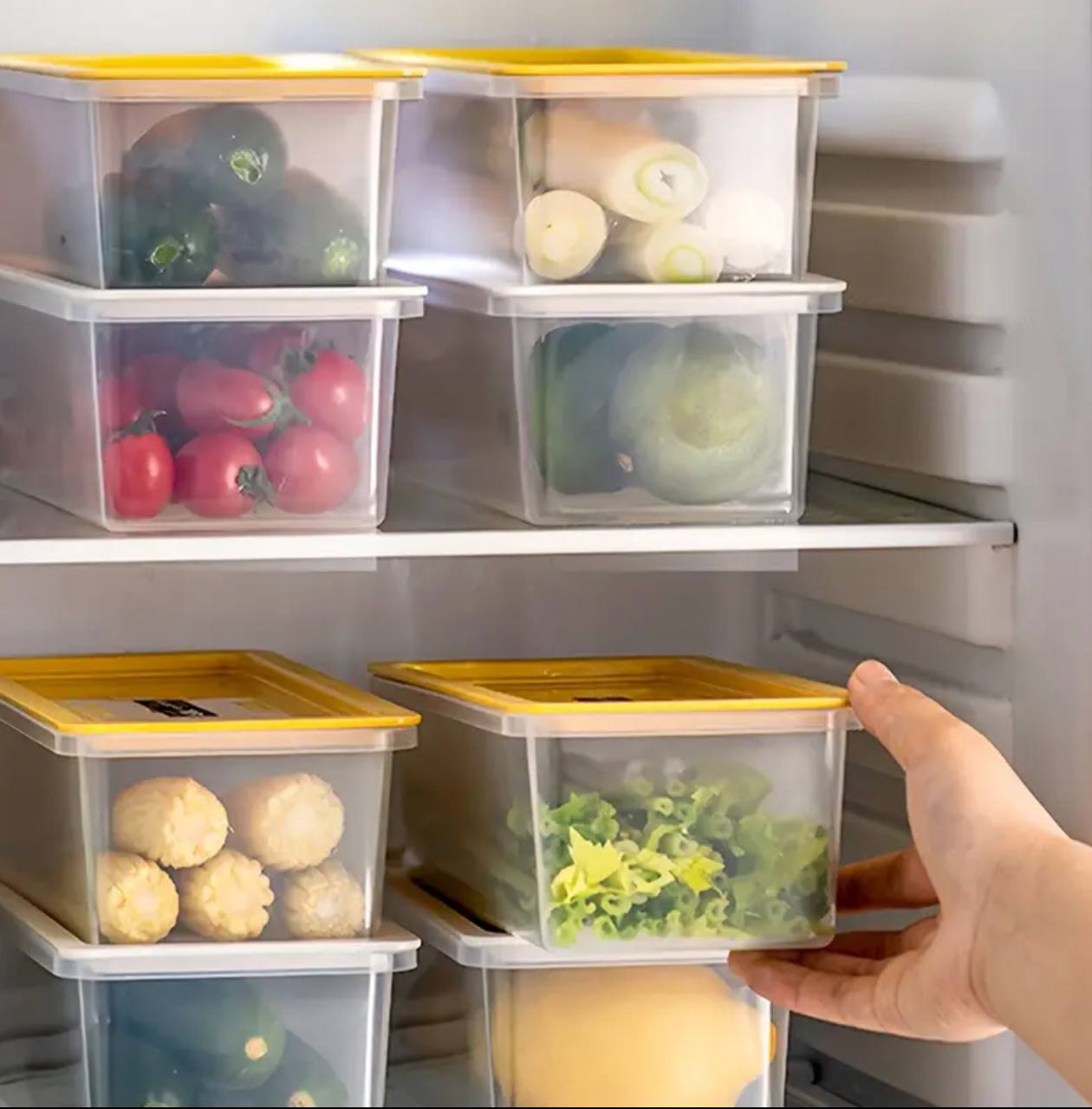Kitchen Noodle Spaghetti Container