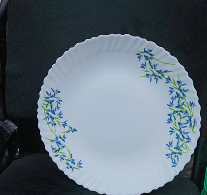 6pcs Florea Arc Opal round dinner plates 10.5"inches