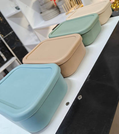 partitioned leak proof silicone lunch box