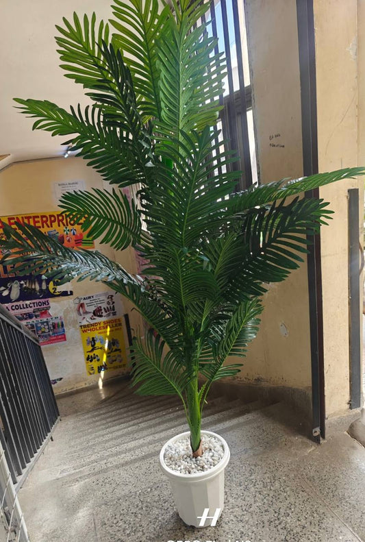 Palm tree 1.6m