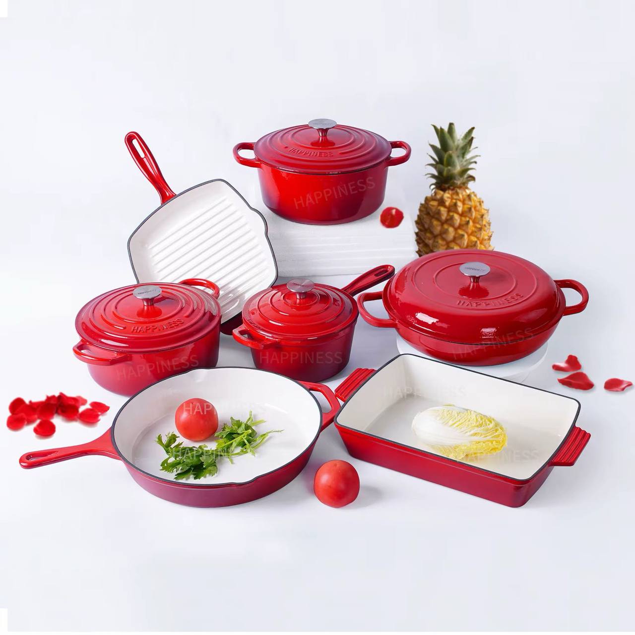 Enamel Cast iron cooking pots