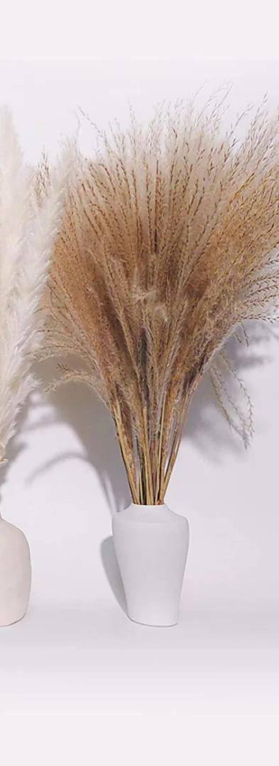 Natural Dried Reed  Decorative Mini Pampas Grass