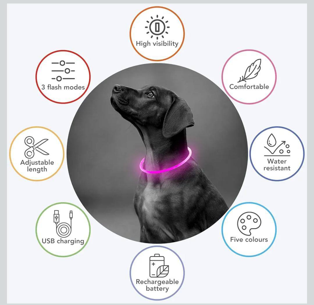 Rechargeable Light Up Pets Collars