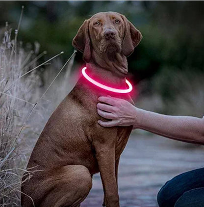 Rechargeable Light Up Pets Collars