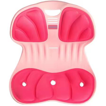 Ergonomic back support