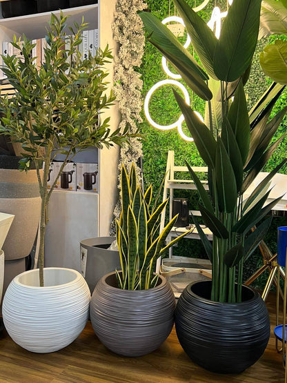 Premium  minimalist design flower planters