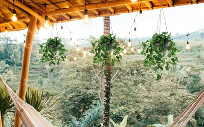 Artificial Hanging Plant With Vases