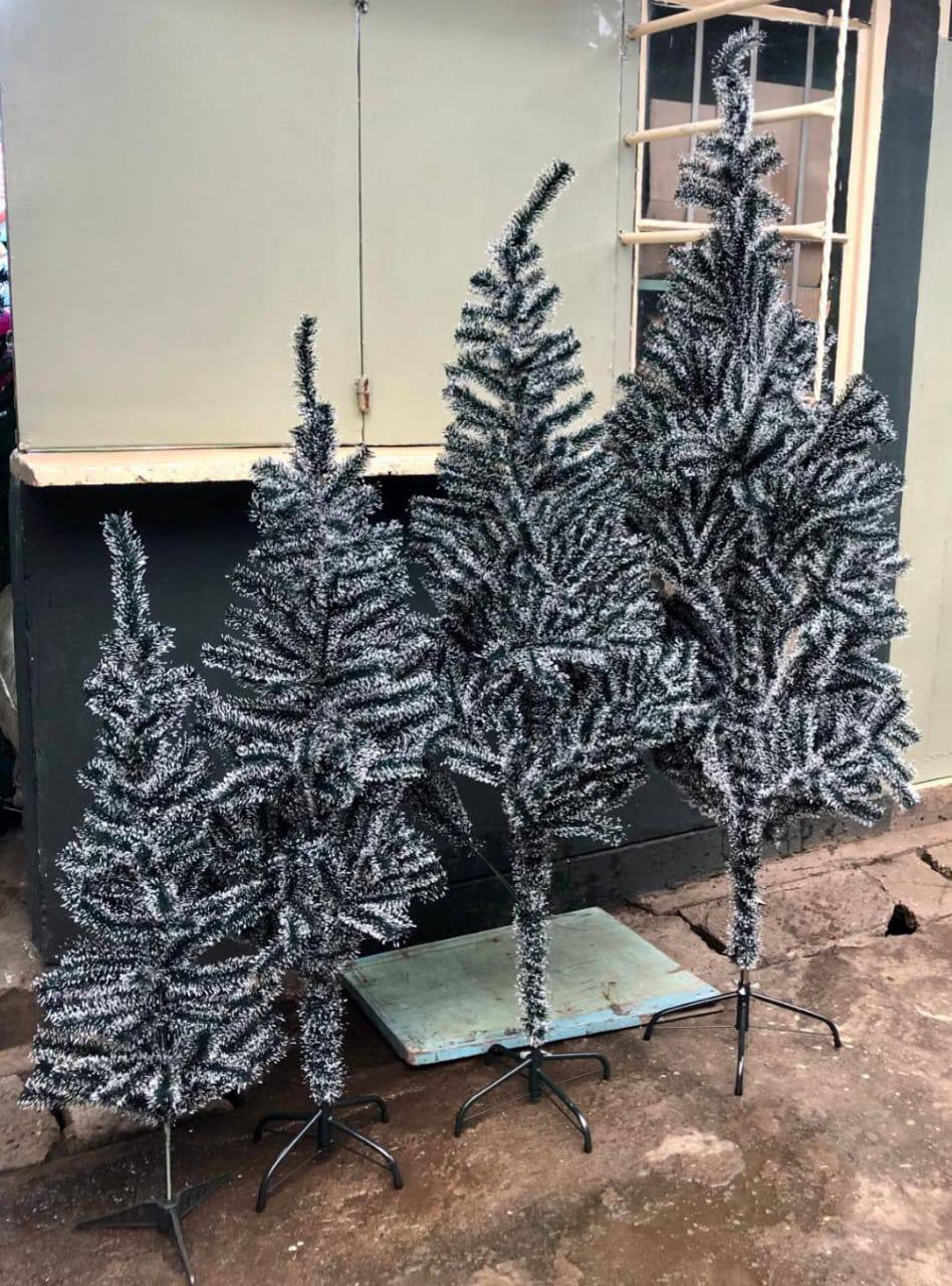 White cypress Christmas trees