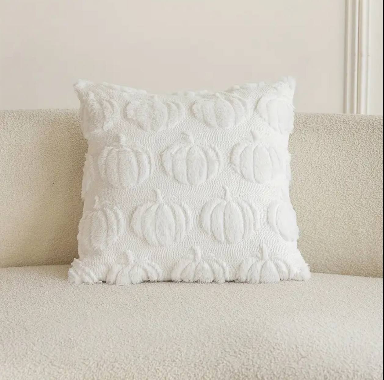 THROW PILLOW CASES/COVERS