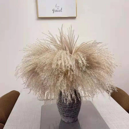 Natural Dried Reed  Decorative Mini Pampas Grass