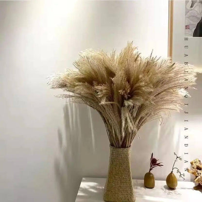 Natural Dried Reed  Decorative Mini Pampas Grass