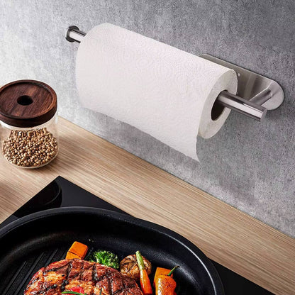 Stainless wall mounted Paper towel holder