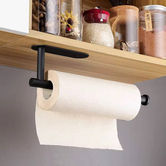 Stainless wall mounted Paper towel holder