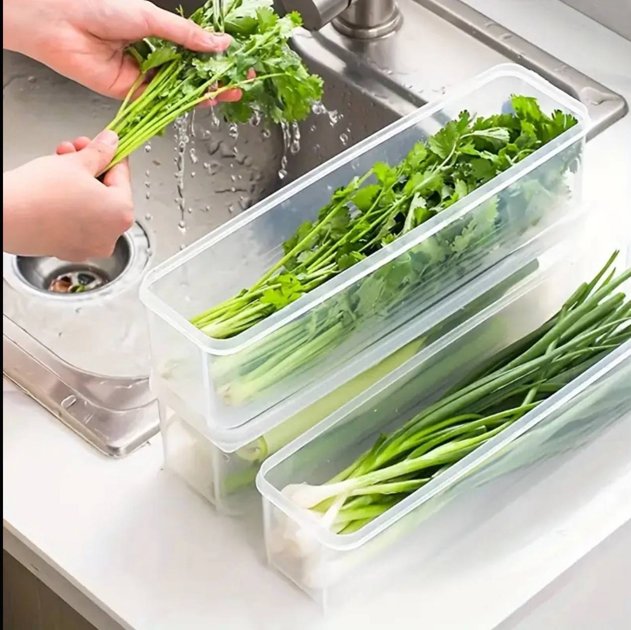 Refrigerator herb storage boxes/ fresh keeping crisper organizer with lid
